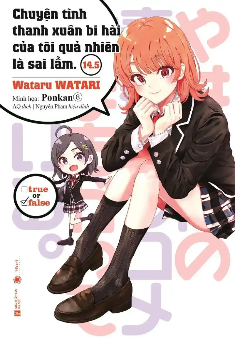 light novel cover